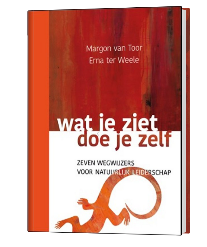 Managementboek-wat-je-ziet-doe-je-zelf-front.jpg.png